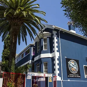 Big Blue Backpackers Kaapstad